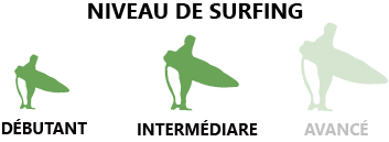 NIVEAU%20DE%20SURF%201-2.png